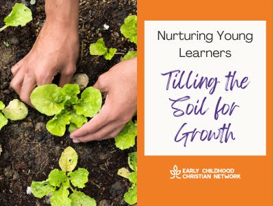 plants, dirt, gardening